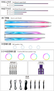 Car Ambient Light For Xiaomi Su7 2024