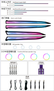 Car Ambient Light For Xiaomi Su7 2024